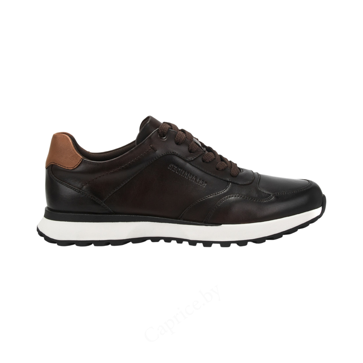 КРОССОВКИ SALAMANDER MEN АРТИКУЛ: 058-5568A-2109
